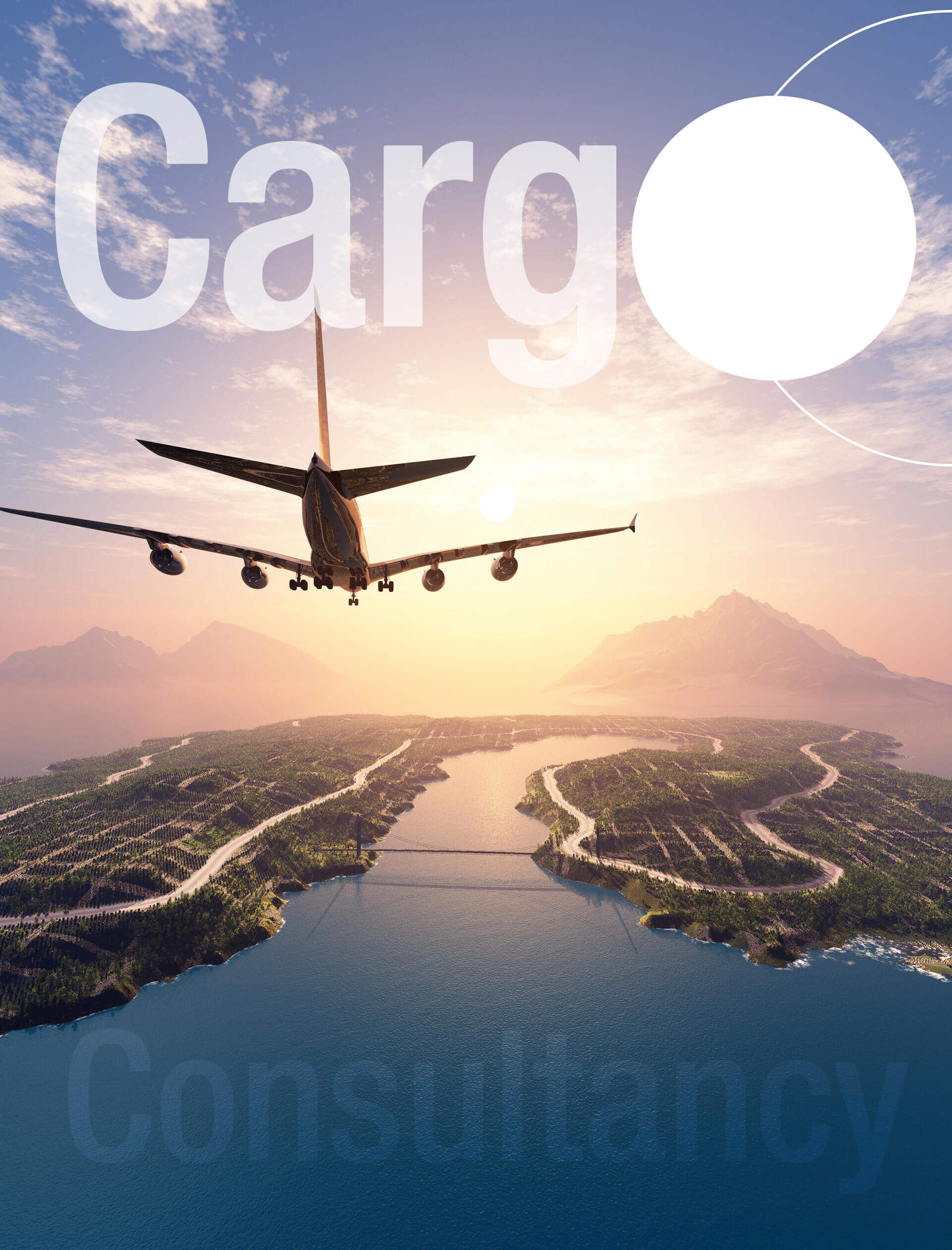 Air Cargo Consultancy Service provider in India